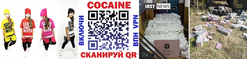 Купить закладки  Нелидово  Кокаин Fish Scale 