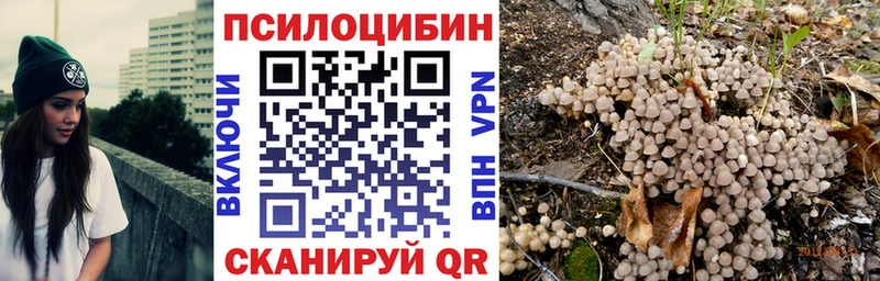 Купить закладки Нелидово Псилоцибиновые грибы прущие грибы