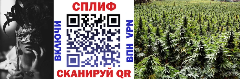 Купить закладки  Нелидово  Каннабис конопля 